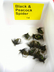 Dragon Fliege, Black - Peacock Spider 14