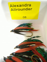 Dragon Fliege, Alexandra Allrounder 08