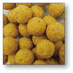 Dresdner Boilies #20mm #400g #ScopexNuss