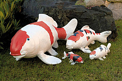 Japan Deko Koi 45cm Sandan Kohaku