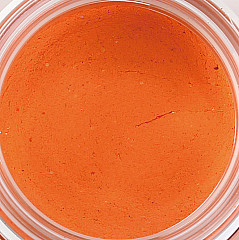 Paladin Trout Bait Forellenteig #orange