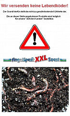 Dendrobena #DB_Wurm #L #40_Stück