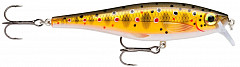 Rapala BX Minnow #BXM07 #TR