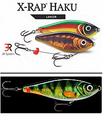 Rapala Wobbler X-Rap Haku #Haku14 #PEL