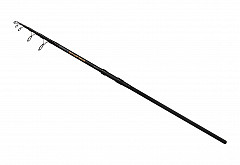 Mikado Rute #Intro2_Tele_Carp #390 #3lb
